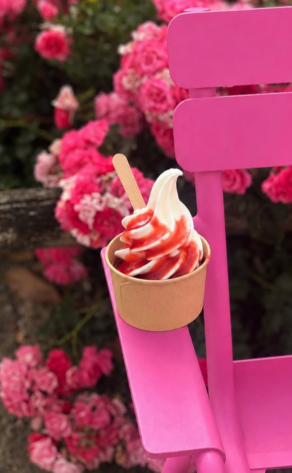 Foodtruck Glace en Vendée - Pour vos événements en Vendée et alentours